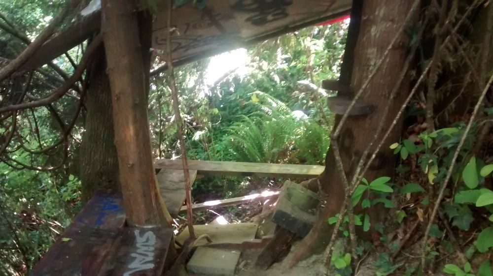 IMG_20150620_144811624