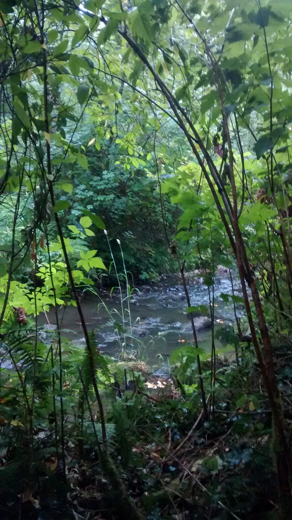 IMG_20150711_150410379