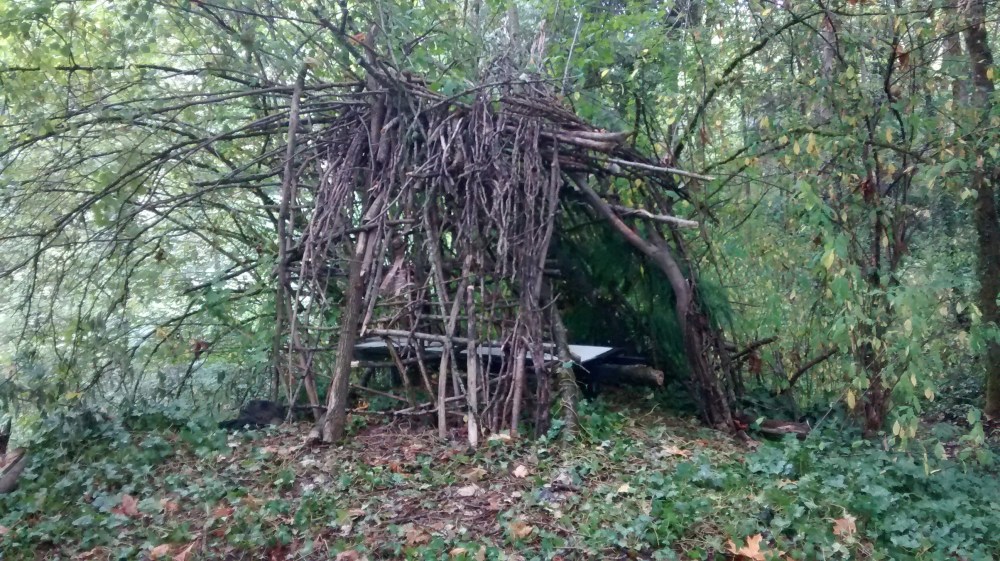 IMG_20150815_142854731