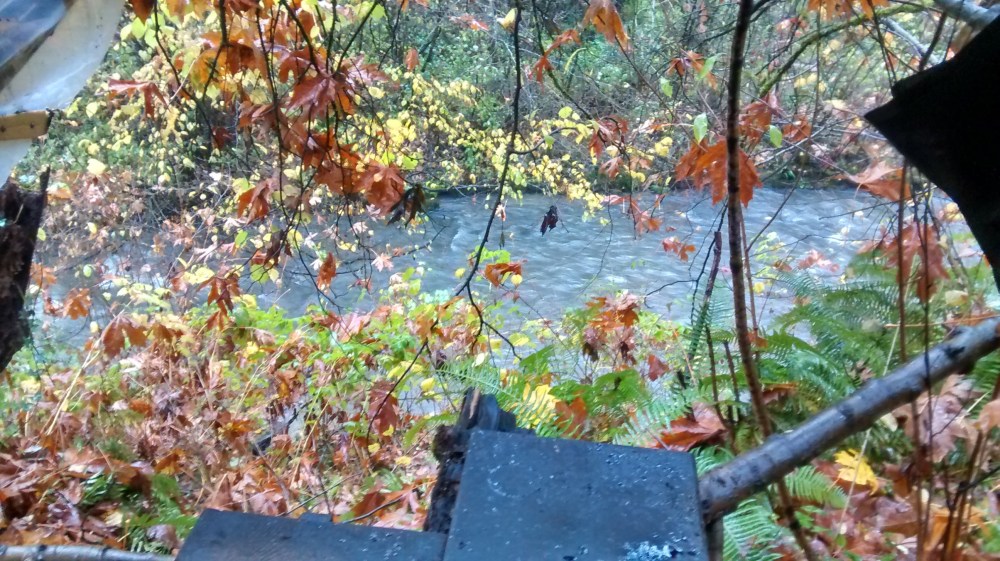 IMG_20151101_133622232_HDR (1)