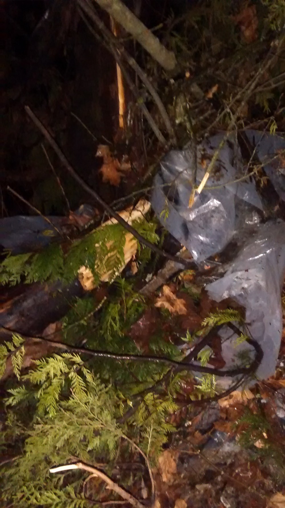 IMG_20151117_183919343