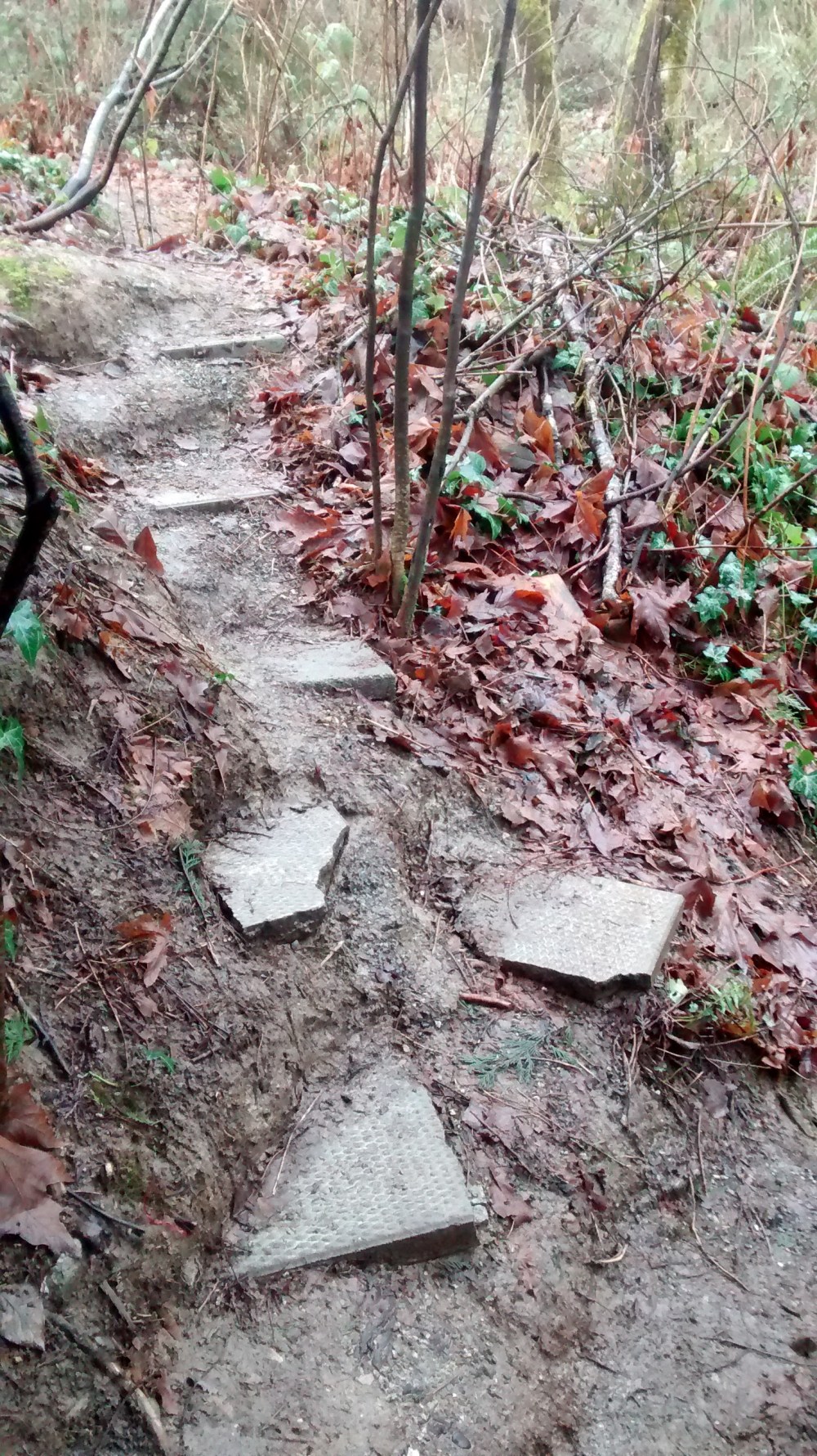 IMG_20160116_151041144