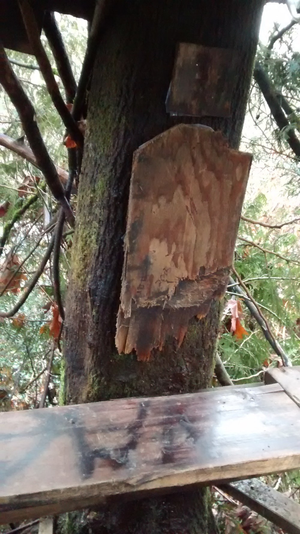 IMG_20160123_162357761