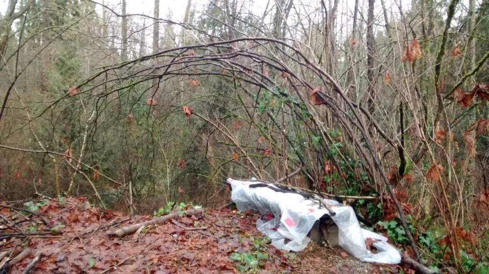 IMG_20160116_150146055