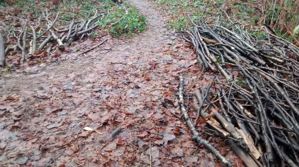 IMG_20160116_150354002